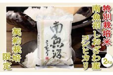 【令和7年産】【精米２Kg】特別栽培 生産者限定  南魚沼しおざわ産コシヒカリ【2025年10月上旬より順次発送予定】