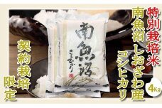 【令和7年産】【精米４Kg】特別栽培 生産者限定  南魚沼しおざわ産コシヒカリ【2025年10月上旬より順次発送予定】