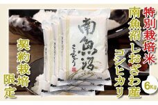 【令和7年産】【精米６Kg】特別栽培 生産者限定  南魚沼しおざわ産コシヒカリ【2025年10月上旬より順次発送予定】