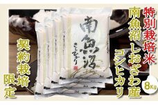 【令和7年産】【精米８Kg】特別栽培 生産者限定  南魚沼しおざわ産コシヒカリ【2025年10月上旬より順次発送予定】