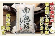 【令和7年産】【精米５Kg】特別栽培 生産者限定  南魚沼しおざわ産コシヒカリ【2025年10月上旬より順次発送予定】
