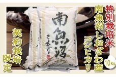 【令和7年産】【精米１０Kg】特別栽培 生産者限定  南魚沼しおざわ産コシヒカリ【2025年10月上旬より順次発送予定】