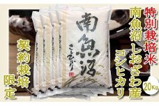 【令和7年産】【精米２０Kg】特別栽培 生産者限定  南魚沼しおざわ産コシヒカリ【2025年10月上旬より順次発送予定】