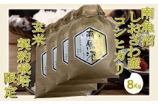【令和7年産】【玄米８Kg】●玄米● 生産者限定 南魚沼しおざわ産コシヒカリ【2025年10月上旬より順次発送予定】