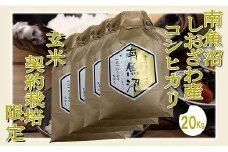 【令和7年産】【玄米２０Kg】●玄米● 生産者限定 南魚沼しおざわ産コシヒカリ【2025年10月上旬より順次発送予定】