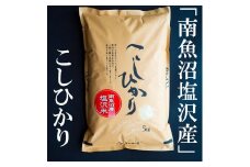 令和7年産　南魚沼塩沢地区「大沢産コシヒカリ」特A米　5ｋｇ×2袋【2025年10月上旬より順次発送予定】