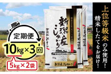 31-K103【3ヶ月連続お届け】新潟県産コシヒカリ10kg（5kg×2袋）