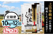 31-K10Z【12ヶ月連続お届け】新潟県産コシヒカリ10kg（5kg×2袋）