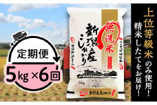 31-M56【無洗米】新潟県産コシヒカリ5kg【6ヶ月連続お届け】