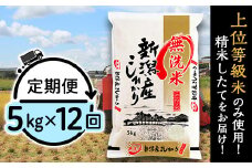 31-M5Z【無洗米】新潟県産コシヒカリ5kg【12ヶ月連続お届け】