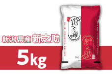 23-S51R6B新潟県胎内市産 新之助5kg