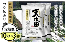 27-103B【3ヶ月連続お届け】新潟県黒川産コシヒカリ10kg（5kg×2袋）【天水田】