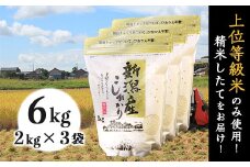 31-K61新潟県産コシヒカリ6kg（2kg×3袋）
