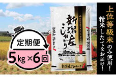 31-K56【6ヶ月連続お届け】新潟県産コシヒカリ5kg