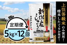 31-K5Z【12ヶ月連続お届け】新潟県産コシヒカリ5kg