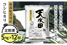27-5ZB【12ヶ月連続お届け】新潟県黒川産コシヒカリ5kg【天水田】