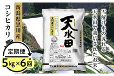 27-56B【6ヶ月連続お届け】新潟県黒川産コシヒカリ5kg【天水田】