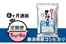 23-K56R6B【6ヶ月連続お届け】新潟県中条産コシヒカリ5kg