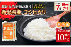 16-M10Z【12ヶ月連続お届け】新潟県胎内市産コシヒカリ【無洗米】10kg（5kg×2袋）