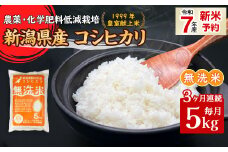 16-M053【3ヶ月連続お届け】新潟県胎内市産コシヒカリ【無洗米】5kg