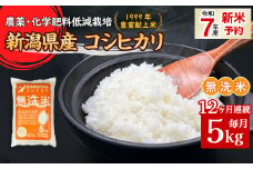 16-M05Z【12ヶ月連続お届け】新潟県胎内市産コシヒカリ【無洗米】5kg