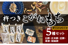 52-02杵つきこがねもち5種セット（青豆きな粉付き）