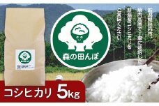 新潟県胎内産コシヒカリ5kg（森の田んぼ）