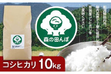 新潟県胎内産コシヒカリ10kg（森の田んぼ）
