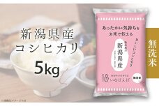 27-M51B【無洗米】新潟県産コシヒカリ5kg