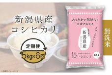 27-M56B【無洗米】新潟県産コシヒカリ5kg【6ヶ月連続お届け】