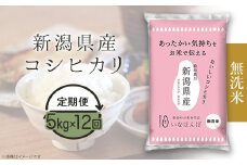 27-M5ZB【無洗米】新潟県産コシヒカリ5kg【12ヶ月連続お届け】
