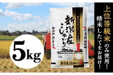 31-K51新潟県産コシヒカリ5kg