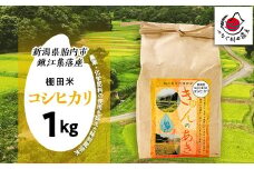 棚田米きんのあき1kg 新潟県胎内市鍬江集落産 コシヒカリ 特別栽培米