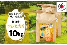 棚田米きんのあき10kg（5kg×2袋） 新潟県胎内市鍬江集落産 コシヒカリ 特別栽培米