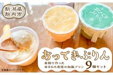 糀プリン おってぎぷりん 9個セット JYUKICHI 乙まんじゅうや