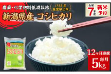 16-K5Z【12ヶ月連続お届け】新潟県胎内市産コシヒカリ5kg