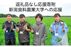 新潟食料農業大学への応援（返礼品の送付はございません）