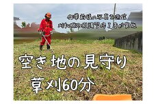 ＜胎内市内利用限定＞草刈り作業代行 草刈り 空き地 空地 お手入れ 見守り報告１回（草刈り60分）