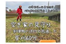＜胎内市内利用限定＞草刈り作業代行 草刈り 空き地 空地 お手入れ 空き家 空家 空き屋 空屋 見守り報告１回（草刈等60分）