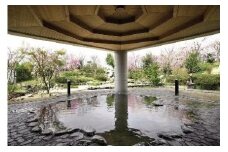 聖籠観音の湯ざぶ～ん館 入浴優待券