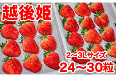聖籠産いちご（越後姫）2～3Lサイズ　2パック【2025年2月上旬～順次発送予定】
