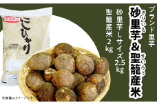 聖籠産米・砂里芋セット【JA北新潟ブランド里芋】2024年11月中旬頃～発送予定