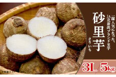 聖籠産 砂里芋（さりいも）3L 5kg【JA北新潟ブランド里芋】2024年11月中旬頃～発送予定