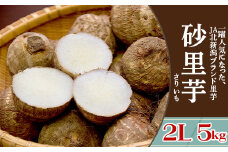 聖籠産 砂里芋（さりいも）2L 5kg【JA北新潟ブランド里芋】2024年11月中旬頃～発送予定