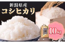 コシヒカリ精米10kg【金助農業株式会社】