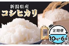 定期便6ヶ月コシヒカリ精米10kg【金助農業株式会社】