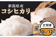 定期便12ヶ月コシヒカリ精米10kg【金助農業株式会社】