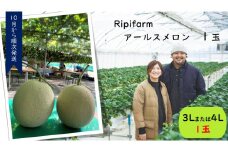 Ripifarm　アールスメロン　１玉(3Lまたは4L)