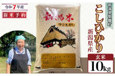 【玄米】新潟県産コシヒカリ10kg（特別栽培米）近藤農園