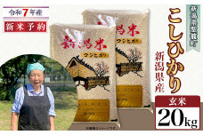 【玄米】新潟県産コシヒカリ20kg（特別栽培米）近藤農園